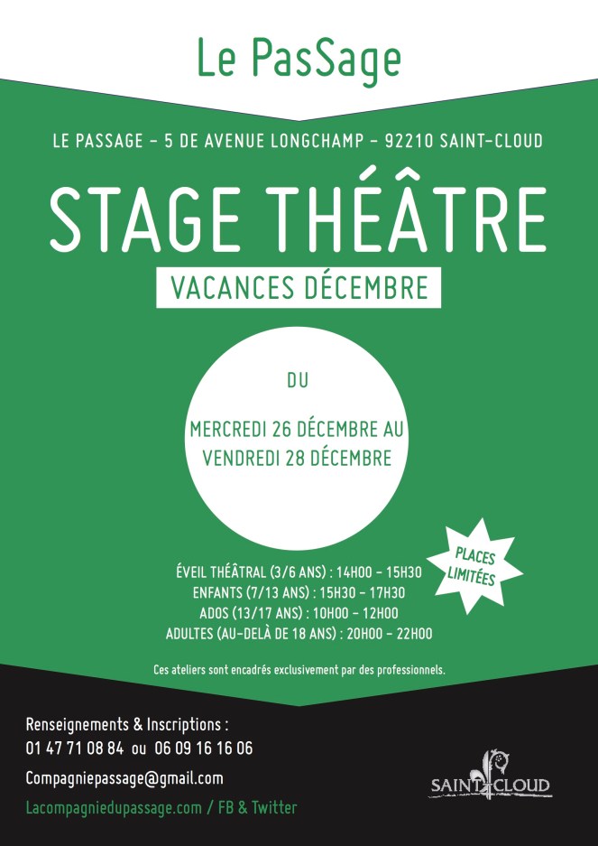 Affiche décembre stage - copie